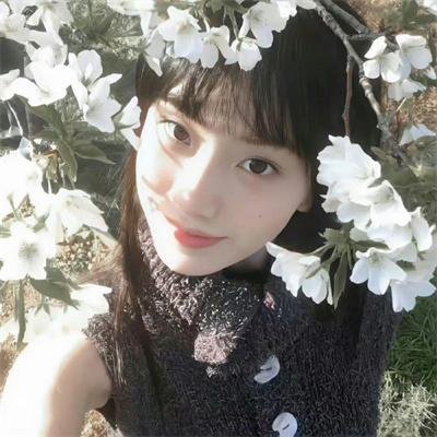 越狱第一季